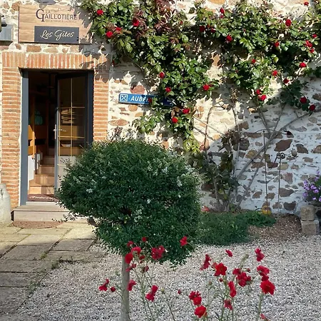 De Caractere Au Coeur Des Vignes Avec Jardin, Velos Et Equipements Bebe - Fr-1-306-796 * Chateauthebaud